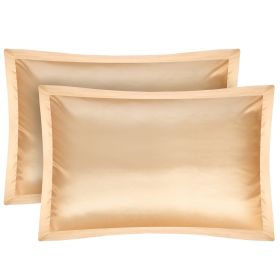 2 Pack Soft Silky Satin Pillow Case Hypoallergenic Breathable Bed Pillow Cover Queen Size Pillowcase Great for Hair Skin (Option: lowcase(iQory)