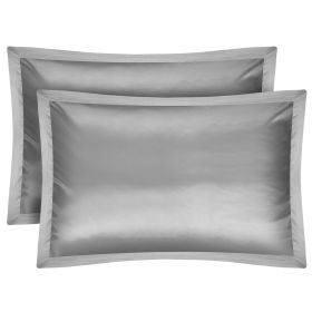 2 Pack Soft Silky Satin Pillow Case Hypoallergenic Breathable Bed Pillow Cover Queen Size Pillowcase Great for Hair Skin (Option: lowCase(Silve)