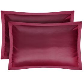 2 Pack Soft Silky Satin Pillow Case Hypoallergenic Breathable Bed Pillow Cover Queen Size Pillowcase Great for Hair Skin (Option: lowcase(burgQndy)