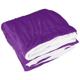 Fleece Throw Blanket Warm Soft Flannel Bed Cover Cuddly Cozy Sofa Travel Car Blanket w/ Queen King Throw Size Optional (Option: t(Queen_Plum t(Queen_Pnt)